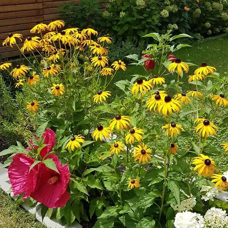 Apartamento Brunnenpark Ruhepol